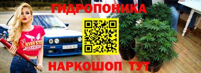 шишки Мариинск