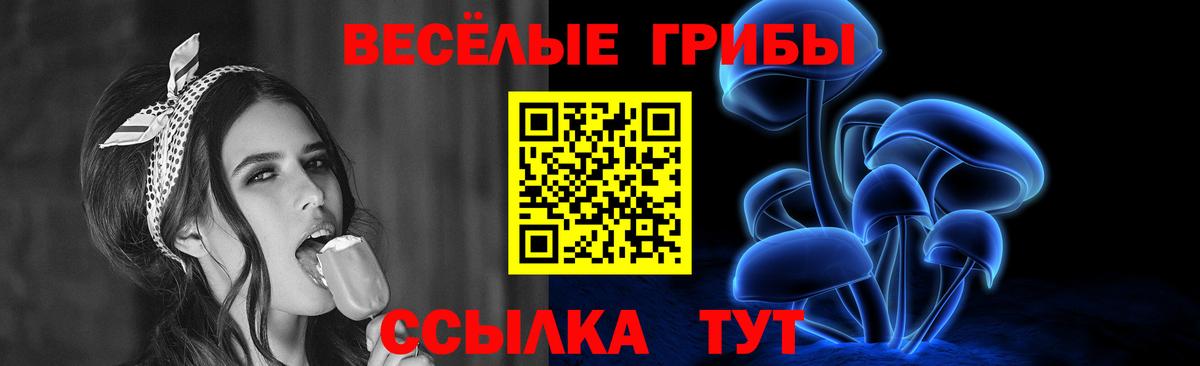 Чистополь  Галлюциногенные грибы мицелий  Вход с VPN 